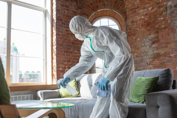 Environmental Consulting for Mold Prevention in West Milton, OH